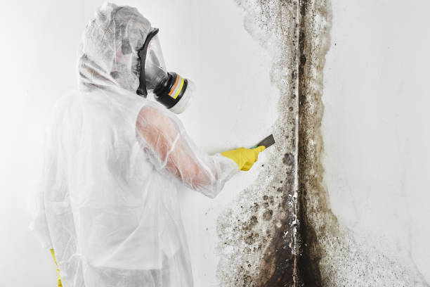 Water Damage Restoration in Bluewell, WV