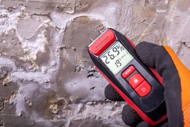 Best Attic Mold Removal  in Bluewell, WV