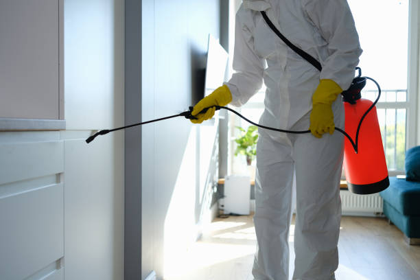 Home Mold Removal in Bluewell, WV