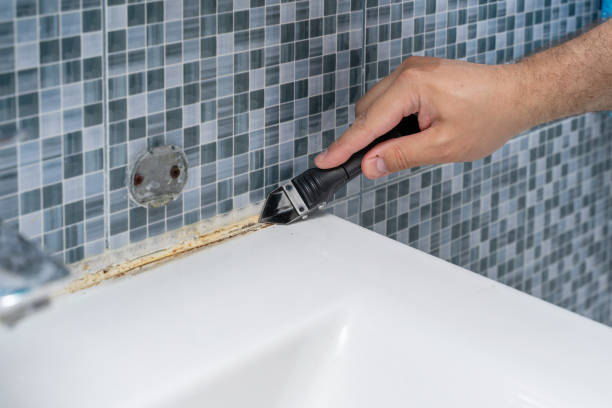 Best Emergency Mold Removal  in Bluewell, WV