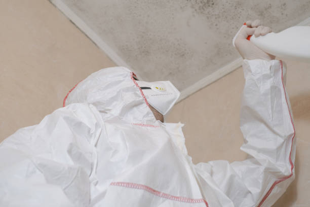 Best Office Mold Removal Services  in Bluewell, WV