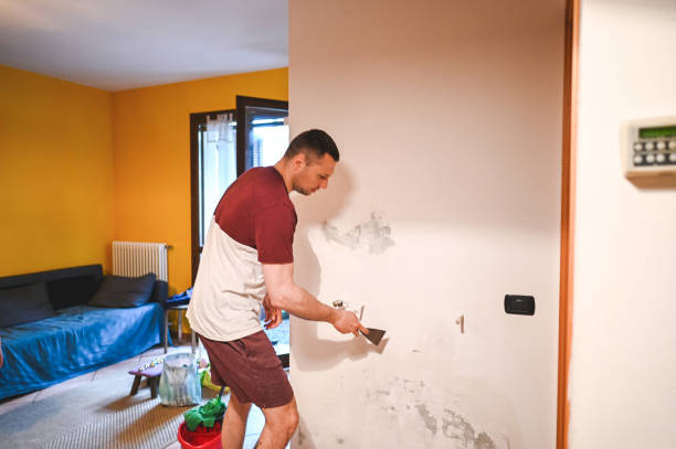 Bluewell, WV Mold Removal Company